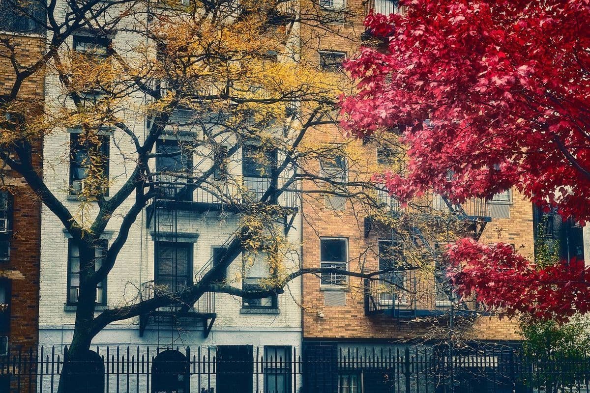 ニューヨーク、タウンハウスの価格が下落、買い手市場に