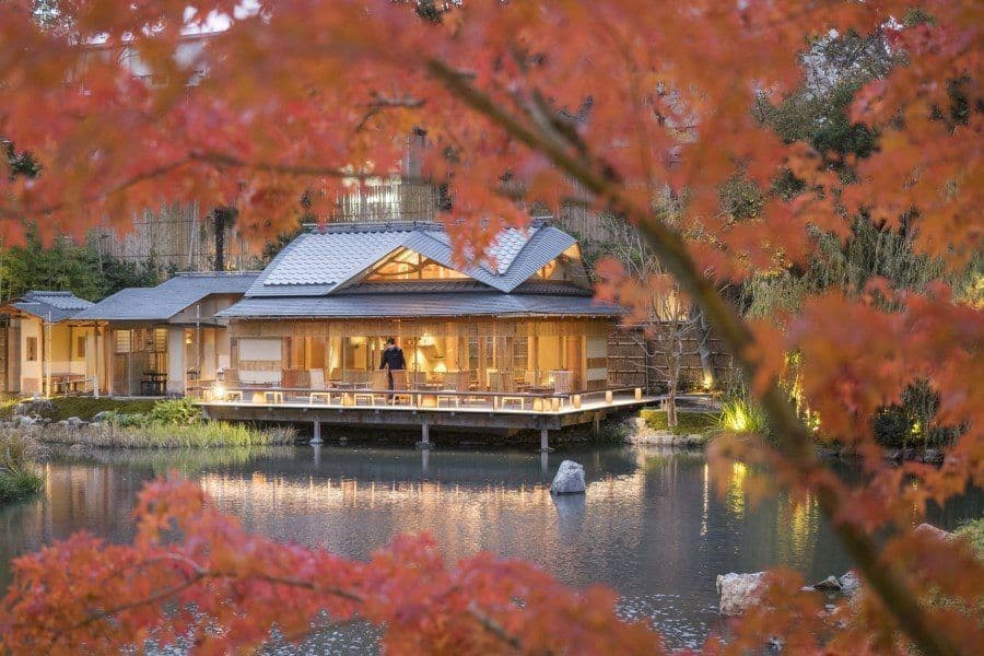 Top Luxury Destinations to Visit in Japan
