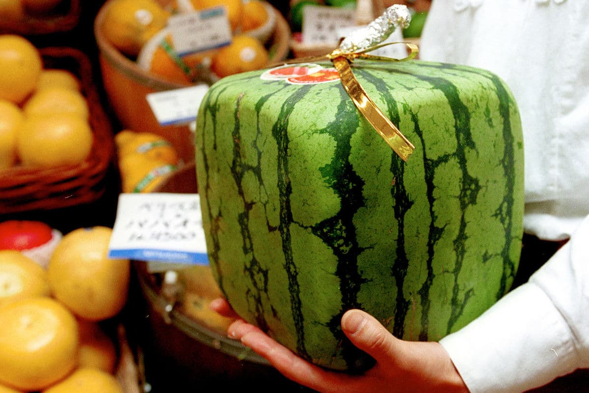 Five Ridiculously Expensive Japanese Fruits