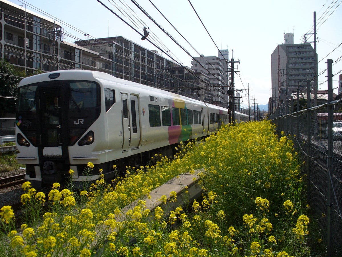 Living in Hachioji: Guide for Foreigners