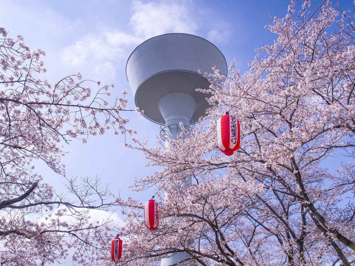 Living in Hamura: Guide for Foreigners