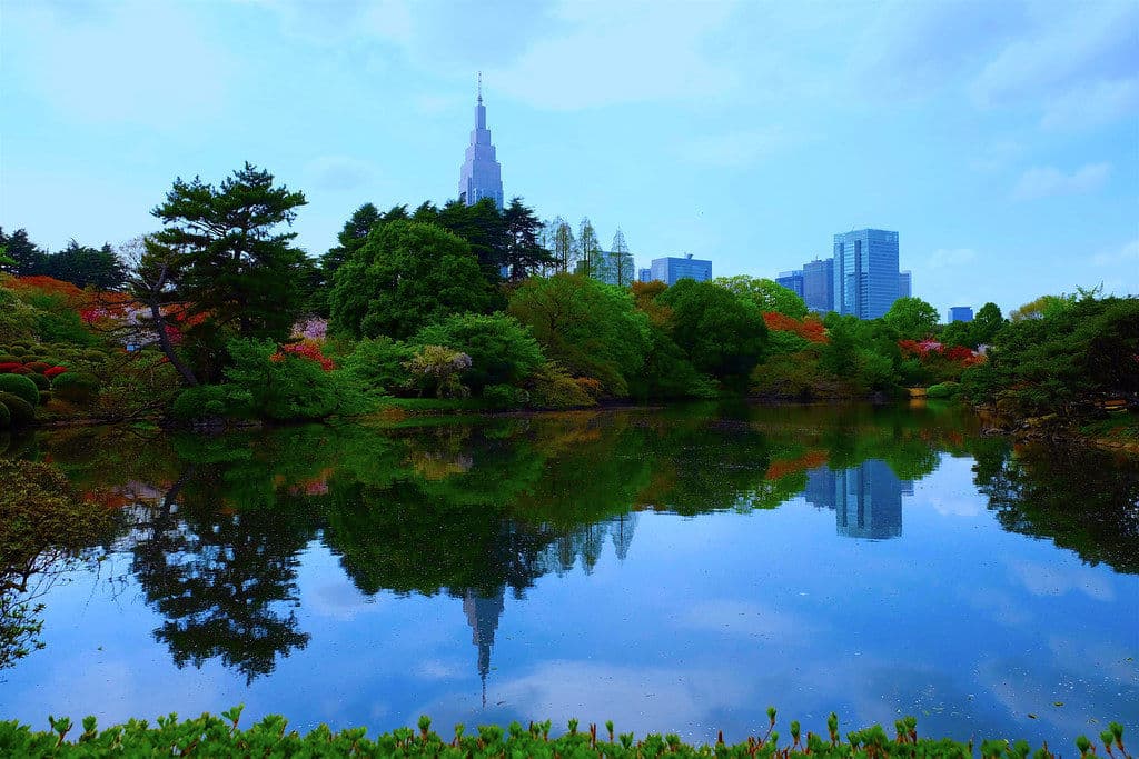 The Best Parks to Visit in Tokyo
