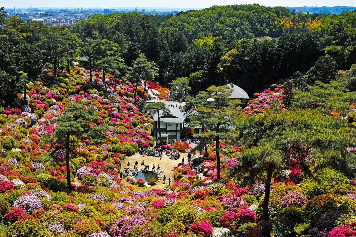 Living in Ome, Tokyo: Guide for Foreigners