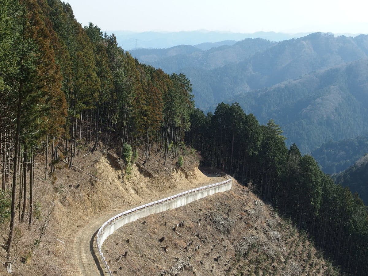 Living in Hinode, Tokyo: Guide for Foreigners