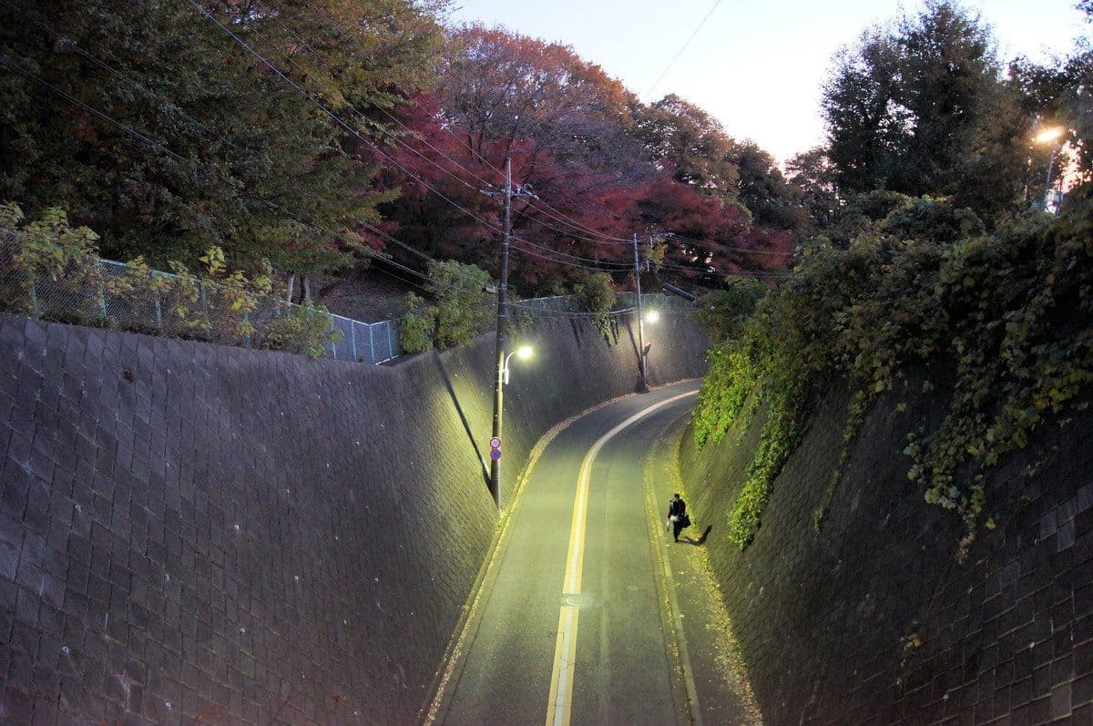 Living in Higashi-Yamato, Tokyo: Guide for Foreigners