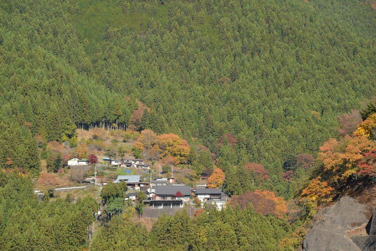 Living in Hinohara, Tokyo: Guide For Foreigners