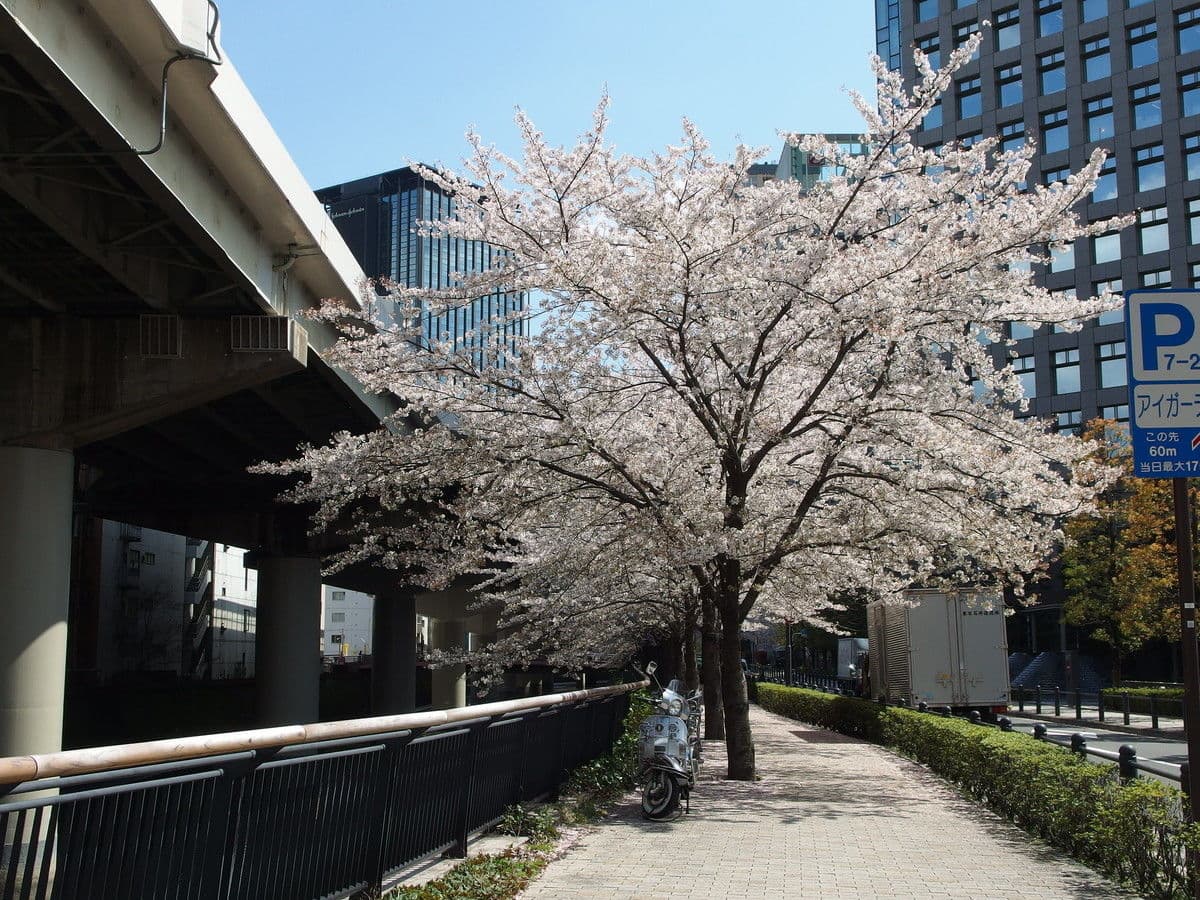 Living In Iidabashi, Tokyo: Guide for Foreigners
