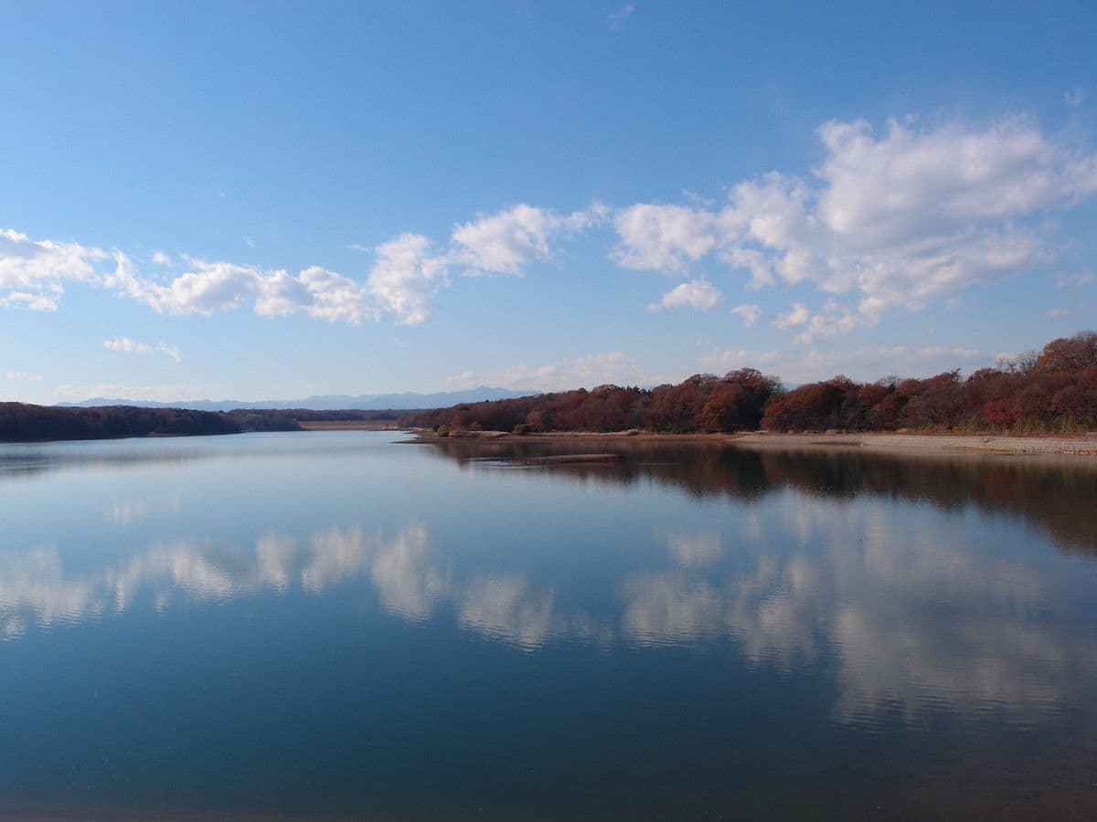 Living In Musashi-Murayama, Tokyo: Guide for Foreigners