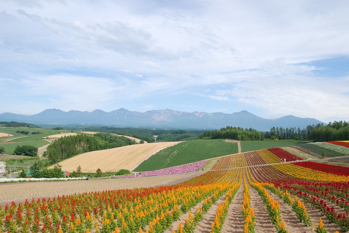 10 Best Prefectures to Live, According to Japanese Residents