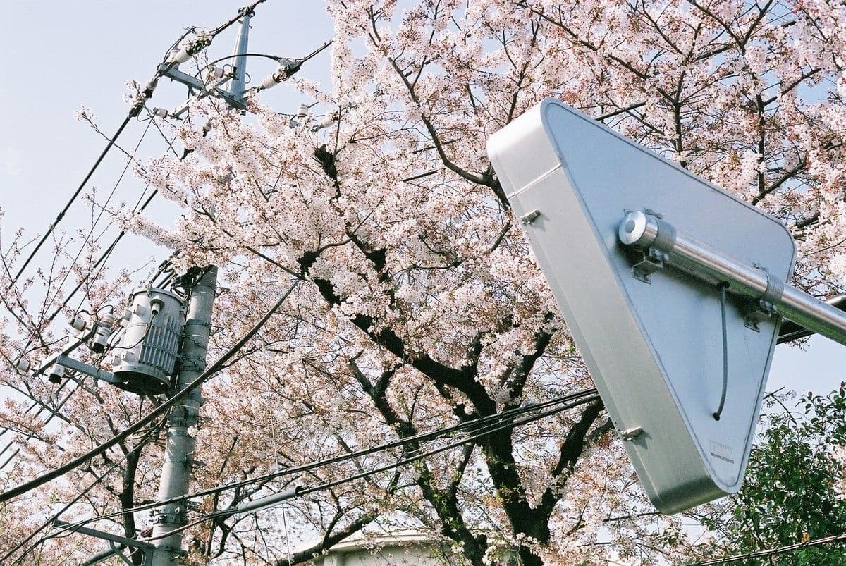 Suginami Ward Real Estate Price Guide