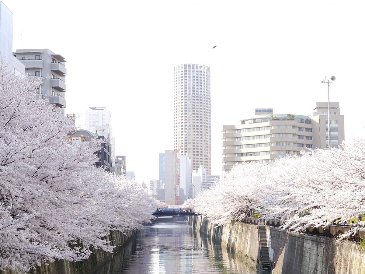 Living in Nakameguro: What is it like for foreigners?