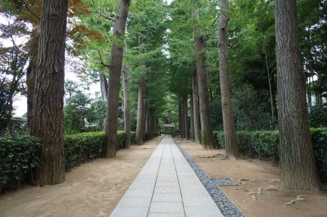 Living in Ogikubo: What is it Like for Foreigners?