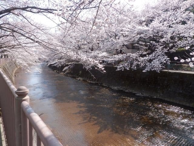 Living in Machida: What is it Like For Foreigners?