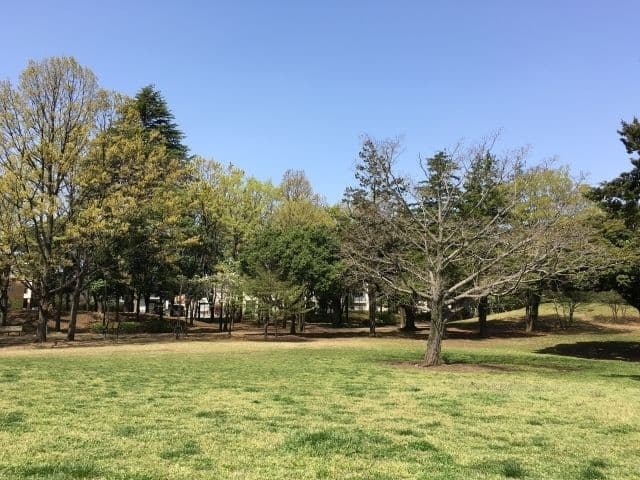 Living in Fuchu: What is it Like For Foreigners?