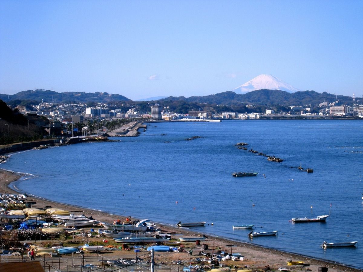 Living in Yokosuka: Guide For Foreigners | Real Estate Investment SEKAI