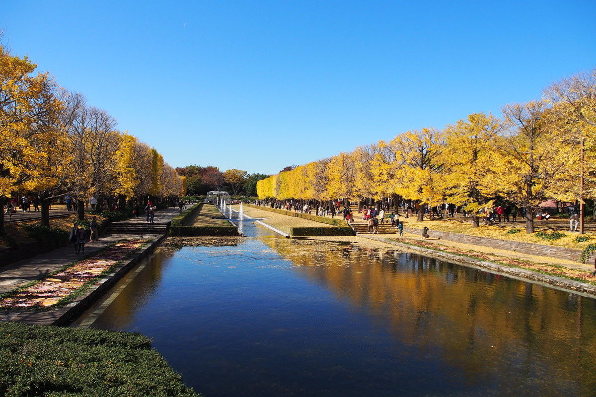 Akishima Park